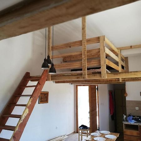 Apartment Zola Горни Карин Екстериор снимка