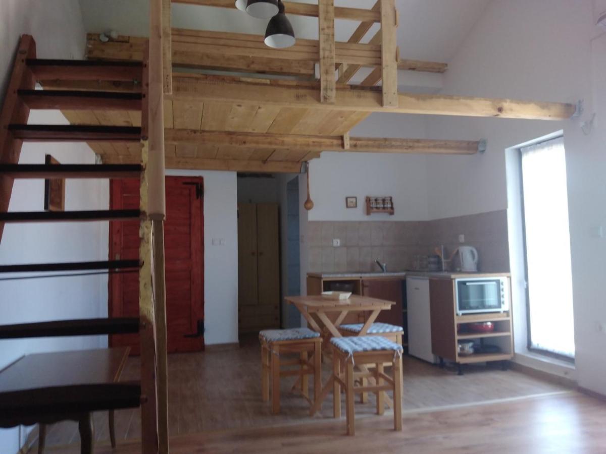 Apartment Zola Горни Карин Екстериор снимка