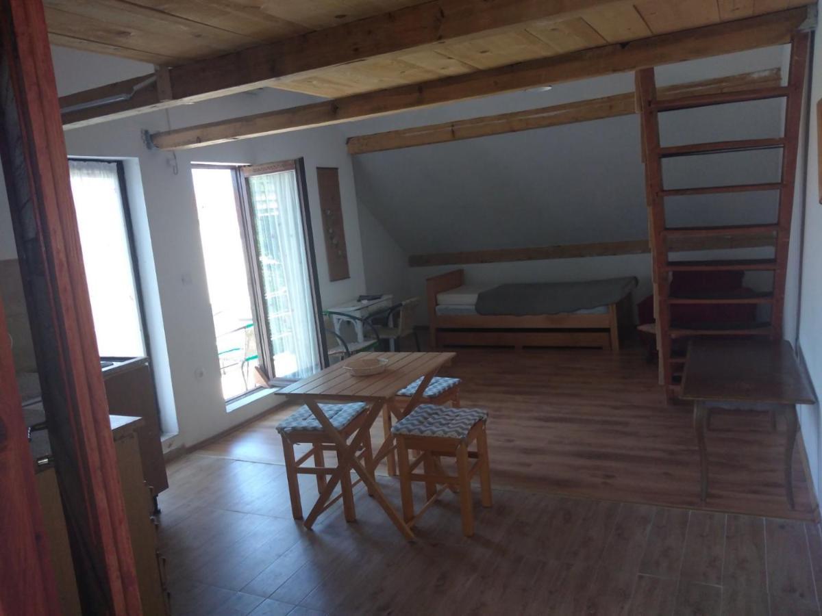 Apartment Zola Горни Карин Екстериор снимка